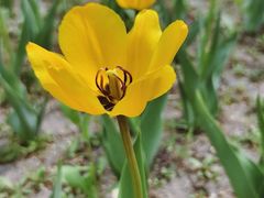 -长春公园(普阳街道)