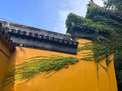 -西园寺素食(西园弄戒幢律寺店)