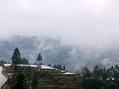 -紫鹊界梯田景区