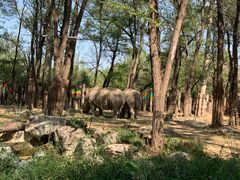 -北京野生动物园