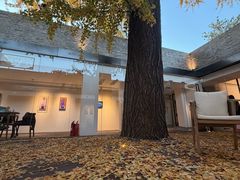 -自如ZSPACE四合院艺术餐厅