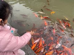 -兰溪地下长河