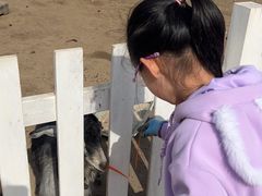 -前小桔亲子创意农场·草莓采摘·露营烧烤