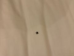 -深圳海景嘉途酒店(东翼楼)