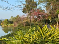 -幽优农庄·森波拉特色本地农家菜