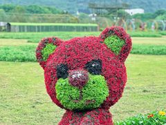 -苏州太湖西山岛开心农场