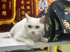 -悦宠动物医院(京丰分院)