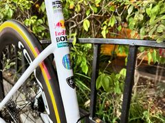 -GIANT捷安特自行车专卖店(金桥台儿庄路店)