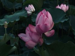 -大望京儿童游乐场