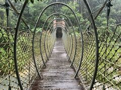 -海南热带雨林国家公园吊罗山景区