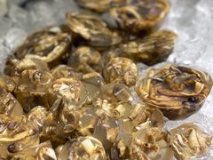 -铭聚章鱼土笋冻(松柏店)