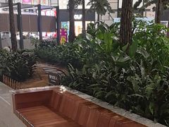 -青岛胶东国际机场