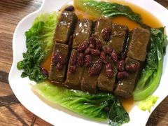 -东鸽皇(奥园·中环广场店)