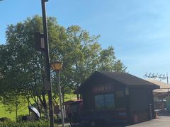 -合肥滨湖国家森林公园