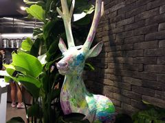 -茶理宜世(东方宝泰店)