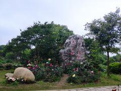 -鹅湖玫瑰文化园