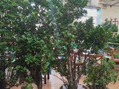 -天发长铁锅炖(王秀村店)