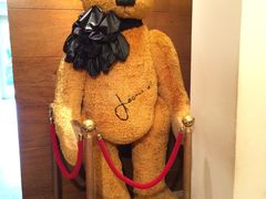 -济州岛泰迪熊博物馆