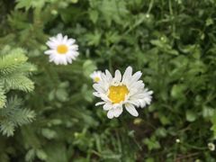 -青峰峡国家森林公园