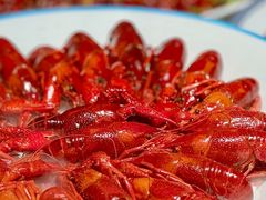 -杨氏青龙虾·羊蝎子(珠江路店)