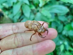 -赤水丹霞旅游区·佛光岩