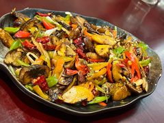 -蘑统田下·野生菌火锅