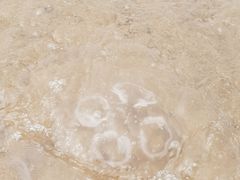 -北戴河东海水浴场