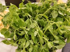 -常赢三兄弟·清真涮肉·清真炒菜(朝阳新城店)