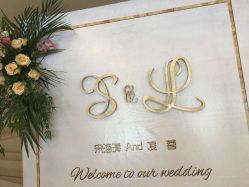 -蚂蚁婚车