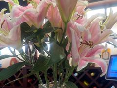 -洋房私宴上海私房菜(海滨商务楼店)