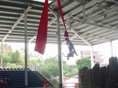 -泉州海丝野生动物世界