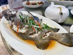 清蒸多宝鱼-五姊妹海鲜(火车站店)
