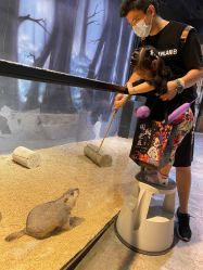 -酷嗒动物文化乐园(cutezoo西溪乐天城店)