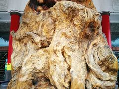 -溪口-滕头旅游景区