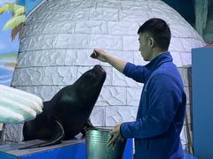 -泉城欧乐堡海洋极地世界