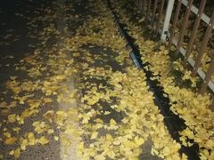 -广州宝岛眼镜武汉和光眼镜市场西区店