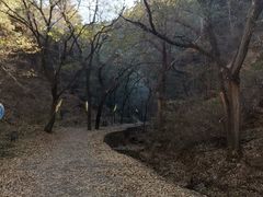 -青龙山风景区