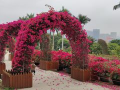 -莲花山公园