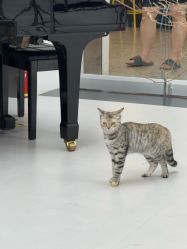 -海菲秀·飞顿牛奶光·LDM官方授权中心美轮美浣瓷感美肌