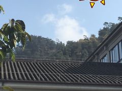 -老幺泉水鸡