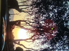 -怡得观滇餐厅·地道昆明菜·1996(海埂大坝店)
