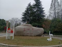 -潜山国家森林公园