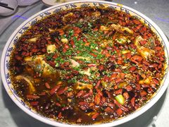 -新概念来凤鱼(璧山店)