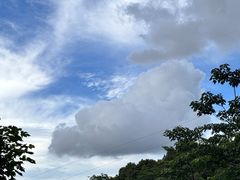 -阳台山森林公园