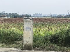 -三圣花乡旅游区