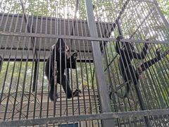 -广东茂名森林公园