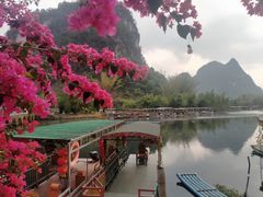 -靖西鹅泉风景区