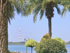 -白鹭洲公园