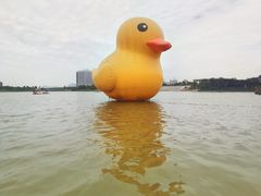 -琅岐红光湖公园