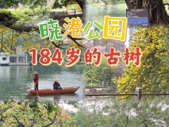 -晓港公园
